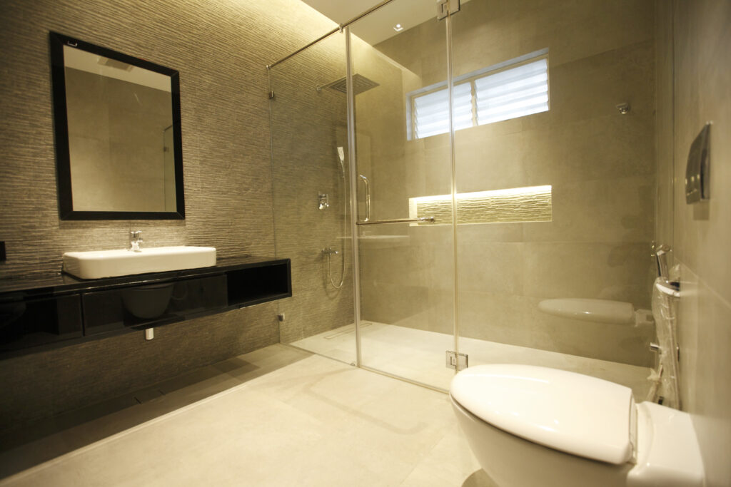 Glass Bathroom Partitions
