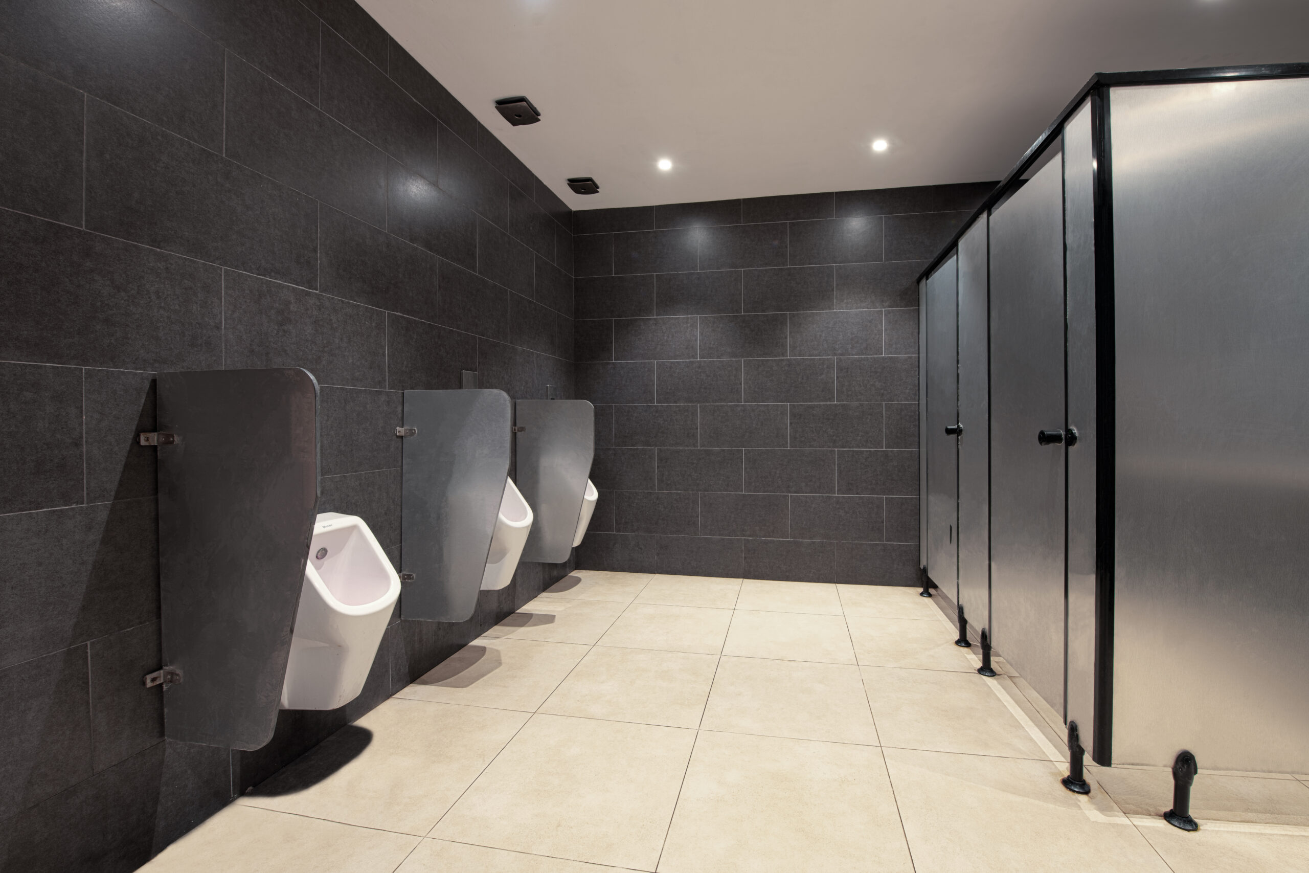 Bathroom urinal partitions